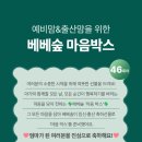 버블슈운동화세탁 | 임신출산축하박스 베베숲 마음박스 신청방법