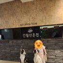 간월산온천&텔 | ᰔᩚ 울산 울주 간월산 온천호텔 / 가족탕 호텔 / 아이와 함께 가볼 만한 곳