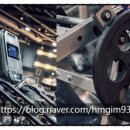 피그말리온짐 프리미엄 이미지