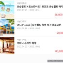 떡보의하루나주 | 비발디파크 오션월드 할인받기 학생 입장권 2만원 /성인할인받기