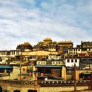 세상목장 이미지