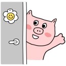 서울탑정형외과의원 이미지