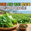 달밭농장 네이버블로그