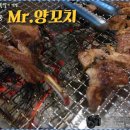미스터양꼬치;양갈비