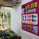 실내야구사격장 이미지