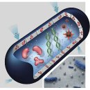 스마트방범방충망 윈가드~~ 방범,안전+어린이추락방지+도난보험(한화손해보험 3,000만원 보상)+항균기능+국내유일 셉테드 통과제품 이미지