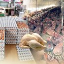 내사농장 이미지