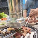 염소농장 Daum카페