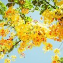 디자인사람들 이미지