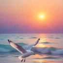 청수호수공원 이미지