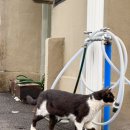 루비관광호텔월미도 이미지