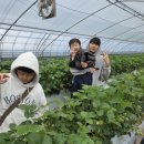 성희농장 이미지