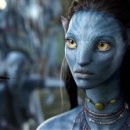 신촌그린컴퓨터아트학원 이미지