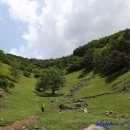 계촌 농장 이미지