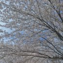 대평동_금강변길 이미지