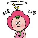 힐링아트문화생활협동조합 네이버블로그