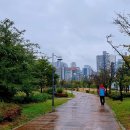 서호공원 이미지