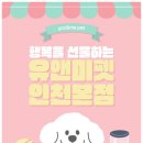 새로운헤어 | 고양브리티시숏헤어분양, 유앤미펫에서 새로운 가족을 만난 진솔한 후기