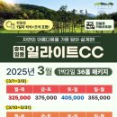 영동 일라이트CC 이미지