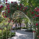 용두어린이공원 이미지