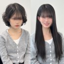 붙임머리 이미지