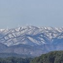 봄맞이 눈구경(우설雨雪) 이미지