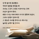 팔이팔