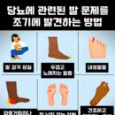 세이 이미지