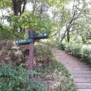 남산약수터 이미지