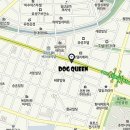 도그퀸 이미지