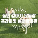 달콤하개 이미지