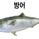 아리회직판장 이미지