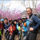 제492차 대구 비슬산 정기산행(2016년 4월 17일 06:30) 이미지