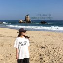 씨유 주문진점 | [동해] 2025 가을 동해,묵호 여행~🖤 (코스- 백연한옥별채,추암해변,한정식담다,장군시오야끼)