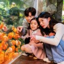 여수 나폴리하우스 이미지