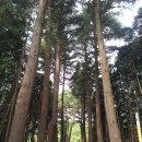 법기수원지 이미지