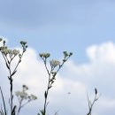 MOVING-花 | 성장