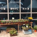 꼼지꼼지화원 이미지