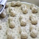 땅콩식당