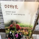 전주 비건음식으로 소문난 이전한 감로헌 다녀왔습니다!