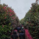 손주들농장 | 🍌 4대가 함께 제주도 유진팡 열대과일농장 후기