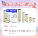 전통불교사 이미지
