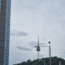 씨스페이스중구남산점 | 봉석이가 좋아할 수밖에 없는 이유｜명동·남산 맛집 ‘101번지 남산돈가스’ 후기🍽