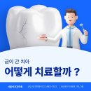 서울석치과의원 네이버블로그