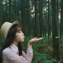 봉스 이미지