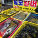 털보활어