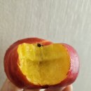 6175 | 중국 상하이 여행 중 먹부림 정리 맛집 추천 먹거리
