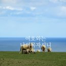 웃보