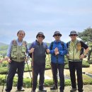 2025년 4월 23일 단국대 죽전캠퍼스 둘레길 산행 이미지