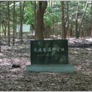 천진암 가는 길 이미지